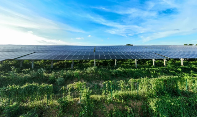 solar-panels-2024-07-19-17-27-32-utc